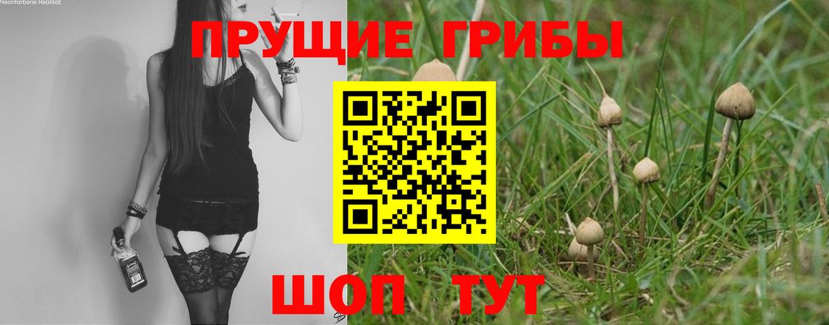 Псилоцибиновые грибы мицелий  Вход с VPN  Псилоцибиновые грибы ЛСД  купить закладку  Дубна 
